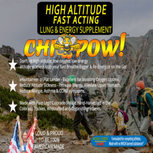 CHI-POW Lung and Energy Honey Sticks